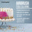 Master Airbrush Cake Airbrush Decorating Kit with 3 Airbrushes, Compressor, and 12 Food Colors - Air Brush for Cake Decoration & Cookie Airbrush Kit