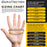 HD Black Nitrile Disposable Gloves, 10 Boxes of 100, Size Small, 6 Mil - Latex Free, Powder Free, Textured Grip, Food Safe