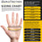 HD Black Nitrile Disposable Gloves, 10 Boxes of 100, Size Large, 6 Mil - Latex Free, Powder Free, Textured Grip, Food Safe