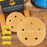 500 Grit - 5" Gold DA Sanding Discs - 5-Hole Pattern Hook and Loop - Box of 50