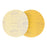 1000 Grit - 6" Gold Hook & Loop No Hole Pattern Sanding Discs for DA Sanders - Box of 24