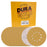 Dura-Gold Premium 9" Drywall Sanding Discs - 120 Grit (Box of 10) - 10 Hole Pattern Hook & Loop Aluminum Oxide Sandpaper - For Power Sander, Sand Wood