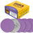 Premium 800 Grit 6" Purple Film Ceramic Sanding Discs, Box of 50 - Hook & Loop Backing Sandpaper for DA & Random Orbital Sanders - Fast Sharp-Cut Abrasive, Sand Auto Paint, Wood, Woodworking