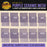 Premium 1/4 Sheet Size Purple Ceramic Mesh Sandpaper, 20 Sheet Variety Pack, Grits 80, 100, 120, 150, 180, 220, 240, 320, 400, 600 - Dustless Hook & Loop Backing, Palm Sanders, Sanding Block