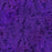 Vivid Purple - Holographic Standard Flake (HMSF) .015 x .015 Hex, 4 oz. Bottle