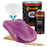 Magenta - Hot Rod Flatz Flat Matte Satin Urethane Auto Paint - Complete Gallon Paint Kit - Professional Low Sheen Automotive, Car Truck Coating, 4:1