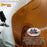 Firemist Orange - Hot Rod Flatz Flat Matte Satin Urethane Auto Paint - Complete Gallon Paint Kit - Professional Low Sheen Automotive, Car Truck Coating, 4:1 Mix Ratio