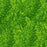 Gecko Green - Medium Size Flake (MSF) .008x.008 Hex, 4 oz. Bottle
