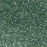 Sea Foam Green - Standard Flake .015 Micron Size, 1 lb. Bottle