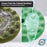 6.5" Green Waffle Foam Buffing Pad Hook and Loop Backing - Soft Pad for Polishing, Automotive, Marine, Truck, RV & Compound Cutting, Car Polishing Pads