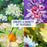 Impasto Clear Acrylic Gel Medium (500ml Tub) - Layering & Extending Acrylic Paint