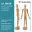 U.S. Art Supply 12" Wooden Male Manikin Posable Figure for Drawing - Articulated Mannequin with Base and Flexible Body for Drawing The Human Figure