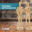 U.S. Art Supply 12" Wooden Male & Female Manikin Posable Figures for Drawing - Articulated Mannequin with Base and Flexible Body for Drawing The Human Figure