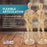 U.S. Art Supply 8" Wooden Male & Female Manikin Posable Figures for Drawing - Articulated Mannequin with Base and Flexible Body for Drawing The Human Figure