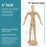 U.S. Art Supply 8" Wooden Male & Female Manikin Posable Figures for Drawing - Articulated Mannequin with Base and Flexible Body for Drawing The Human Figure