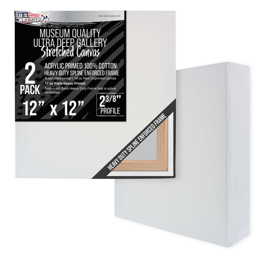 Stretched Canvas for Painting 12" x 12" Museum 2-3/8" Extra Deep Profile, 17oz Acrylic Gesso Triple Primed, Gallery-Style (2 Pack), 100% Cotton, Art Canvases for Painting, Epoxy Resin