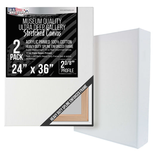 Stretched Canvas for Painting 24" x 36" Museum 2-3/8" Extra Deep Profile, 17oz Acrylic Gesso Triple Primed, Gallery-Style (2 Pack), 100% Cotton, Art Canvases for Painting, Epoxy Resin