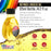 U.S. Art Supply Refined Linseed Oil, 125ml (4.2 oz) Fluid Medium - Linseed Oil for Wood, Painting Mediums & Wood Finishing