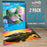 9" x 12" 10-Sheet 8-Ounce Triple Primed Acid-Free Canvas Paper Pad (Pack of 2 Pads), Canvas Paper for Acrylic Painting