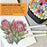 11’ x 14" Premium Manga Marker Paper Pad (2 Pack, 48 Sheets Total) - 60lb (100gsm) Drawing Sketchbook for Alcohol & Acrylic Paint Markers