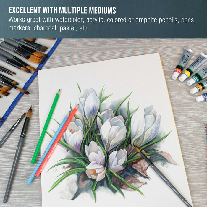 11" x 14" Premium Heavyweight Watercolor Paper Pad, Pack of 2 (12 Sheets Each), 140lb (300gsm) - Spiral Bound, Cold Pressed, Acid-Free, Wet, Water Color Paper - For Artists, Students