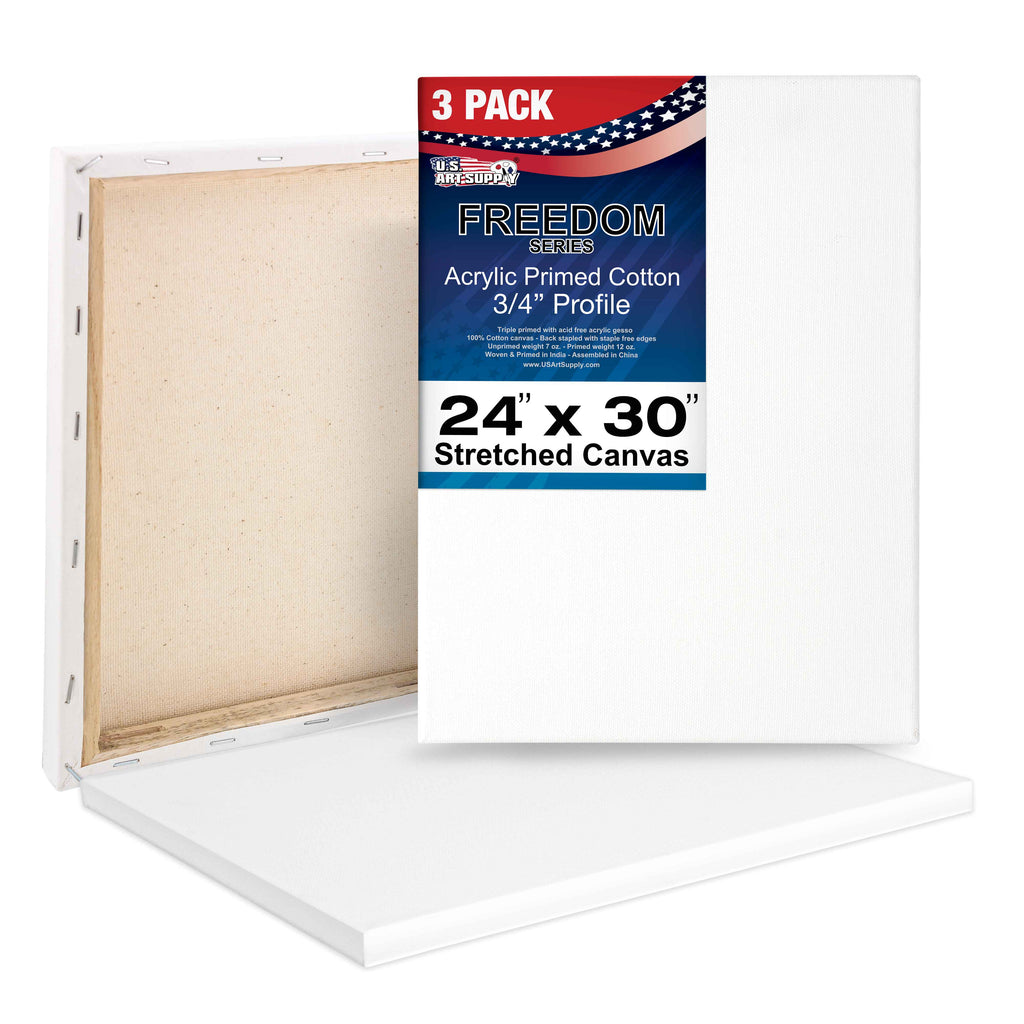 Hi-STANDARD　TM paint CANVAS MAHITOI ™ Med-Weight 24”x36